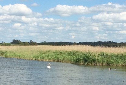 Sommer (1)